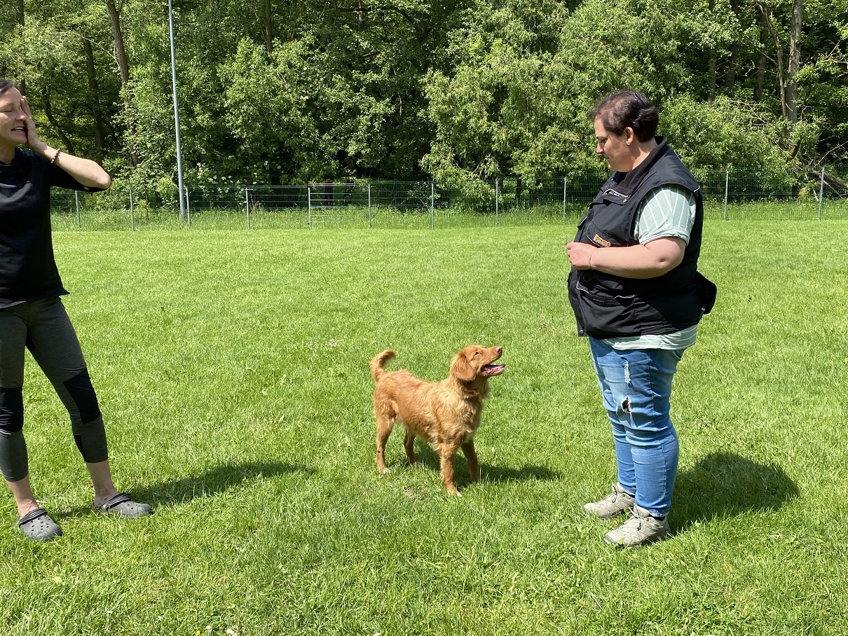 Obi-Seminar mit Anne