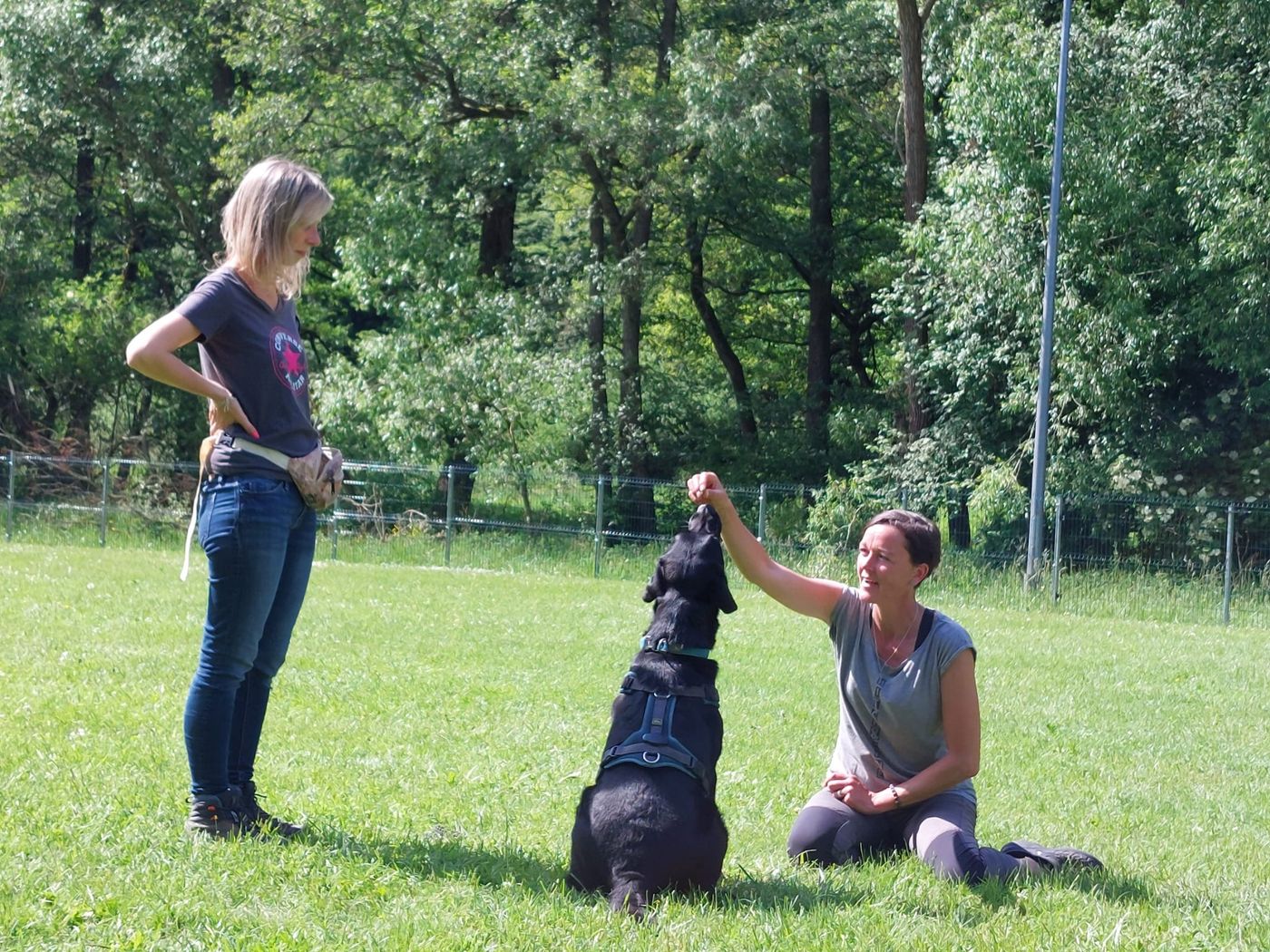 Obi-Seminar mit Anne