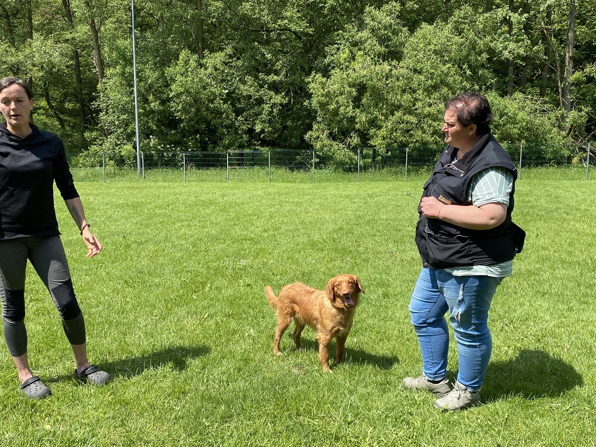 Obi-Seminar mit Anne