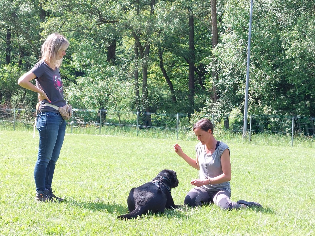 Obi-Seminar mit Anne