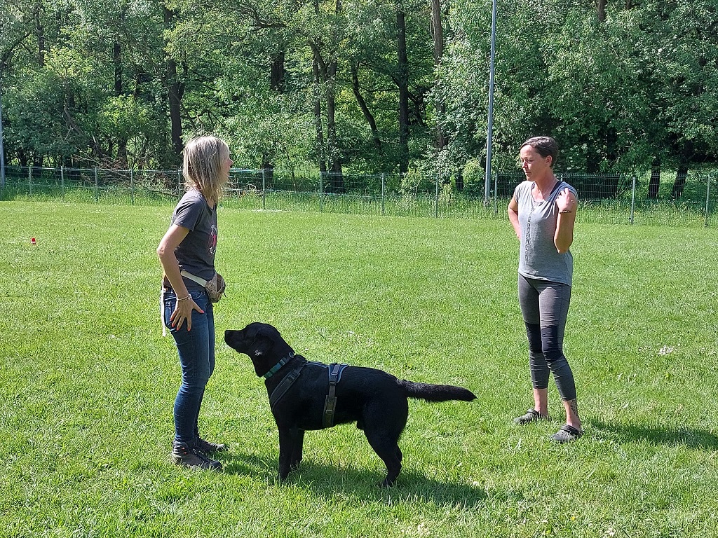 Obi-Seminar mit Anne