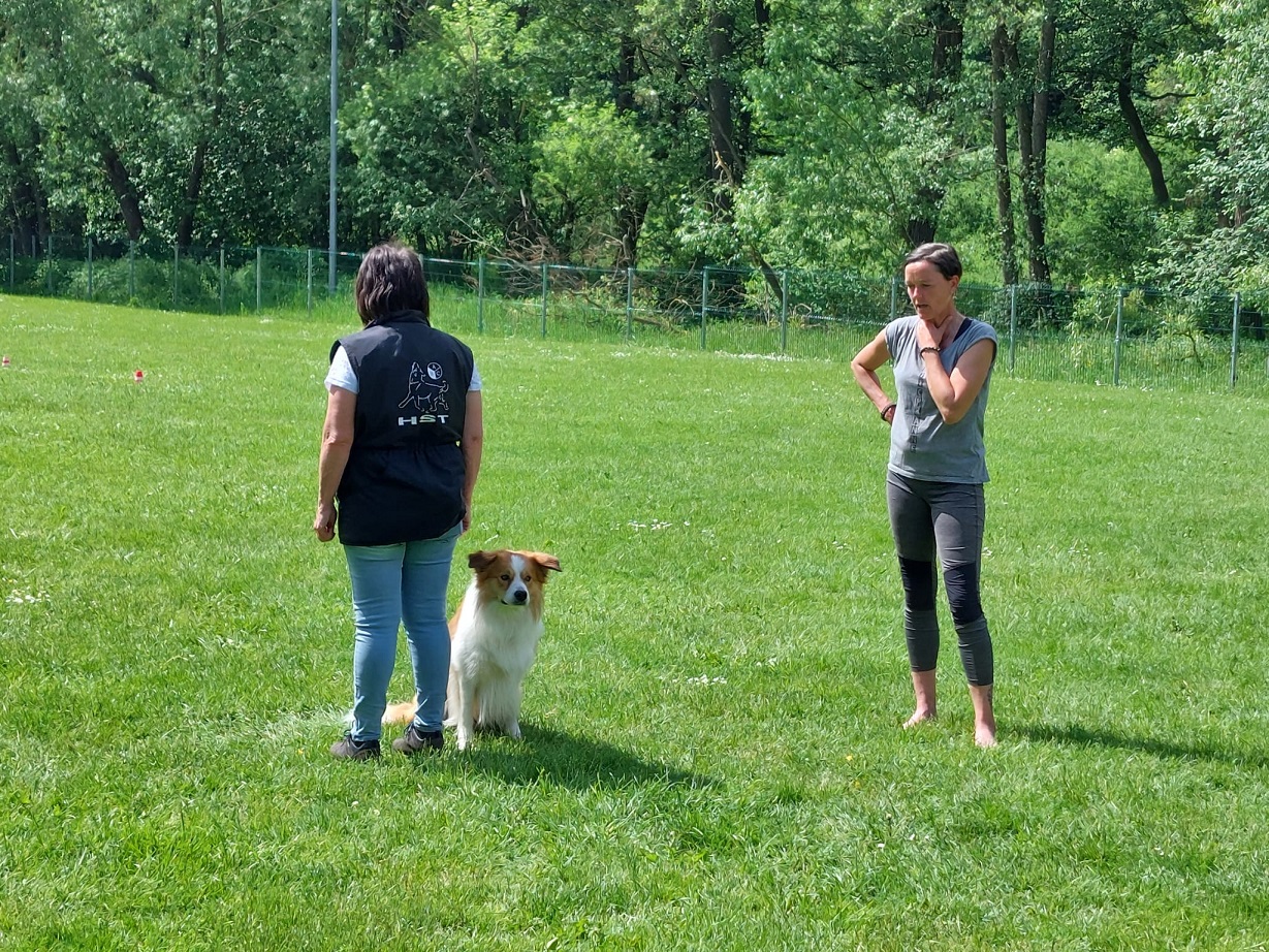 Obi-Seminar mit Anne