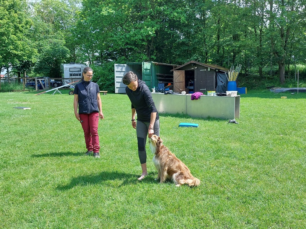 Obi-Seminar mit Anne