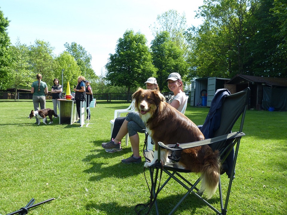 Obedience-Seminar mit Eva Hampe