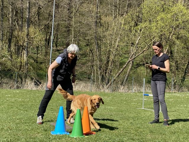 Obi-Seminar Anne Weiss