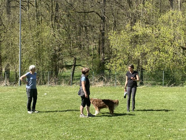 Obi-Seminar Anne Weiss