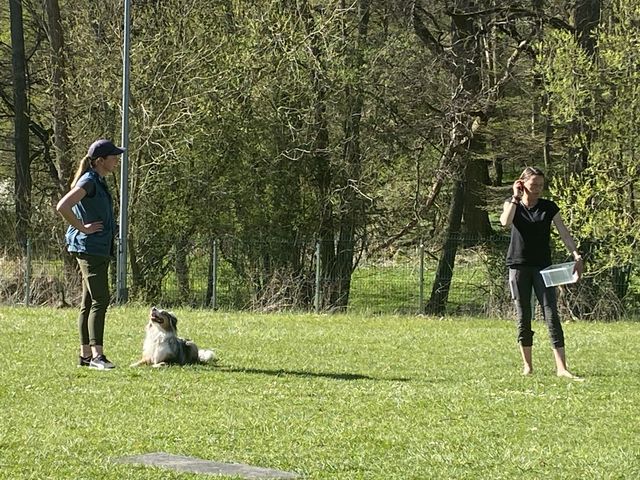 Obi-Seminar Anne Weiss