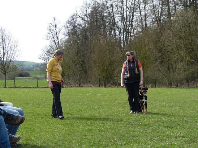 Obi-Seminar 2016