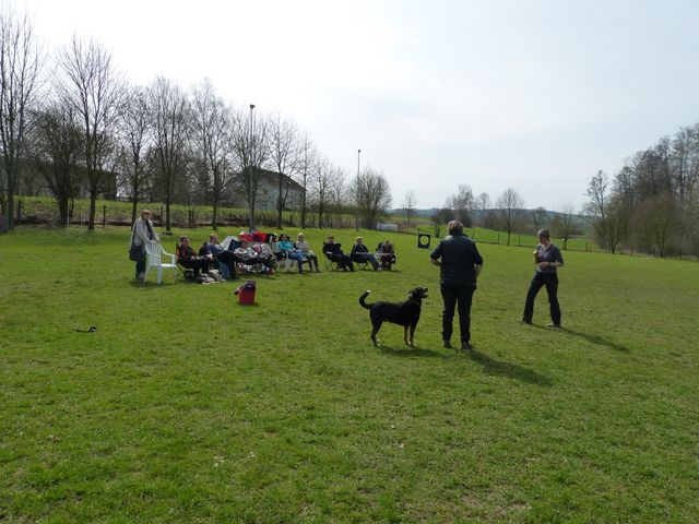 Obi-Seminar 2016