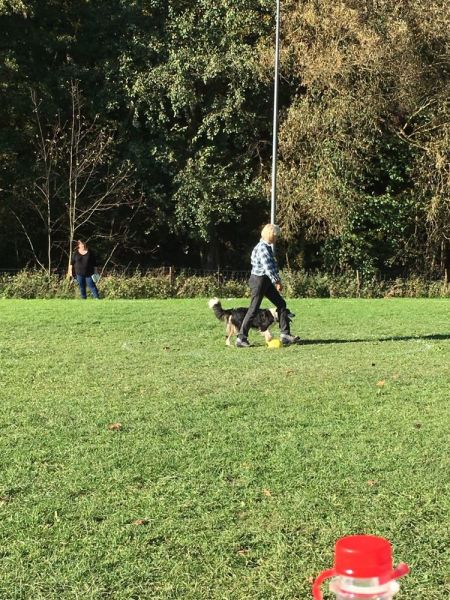Obi-Prüfung Oktober 2017