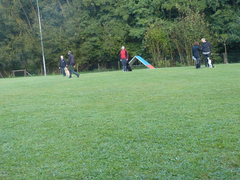Obiprüfung 2016