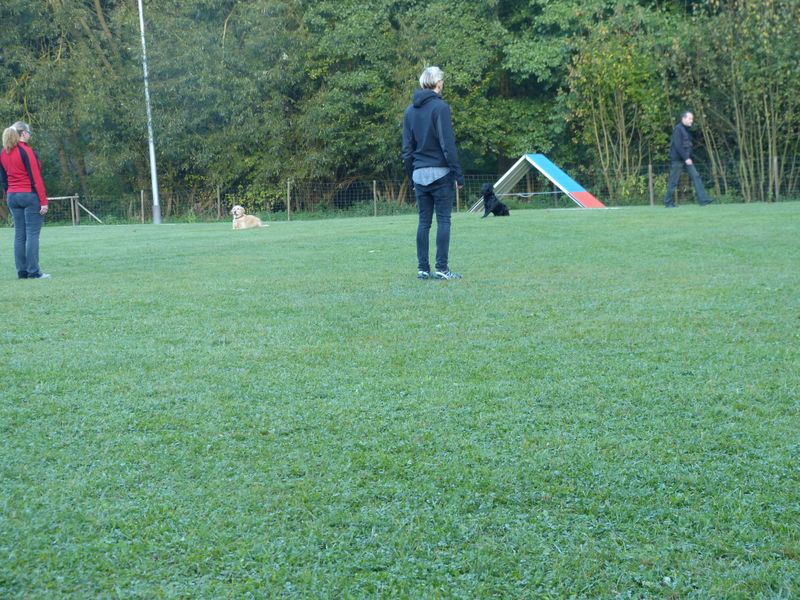 Obiprüfung 2016