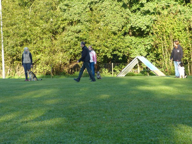 Obiprüfung 2016
