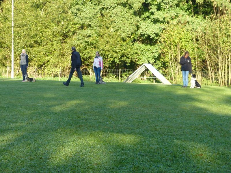 Obiprüfung 2016