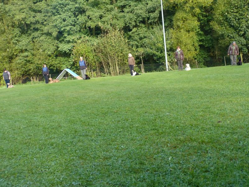 Obiprüfung 2016