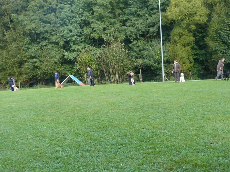 Obiprüfung 2016