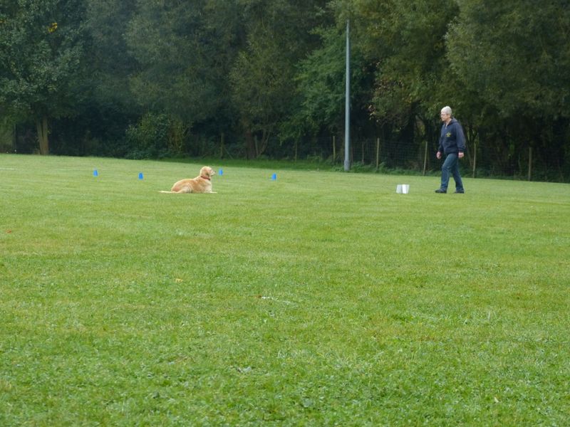 Obiprüfung 2016