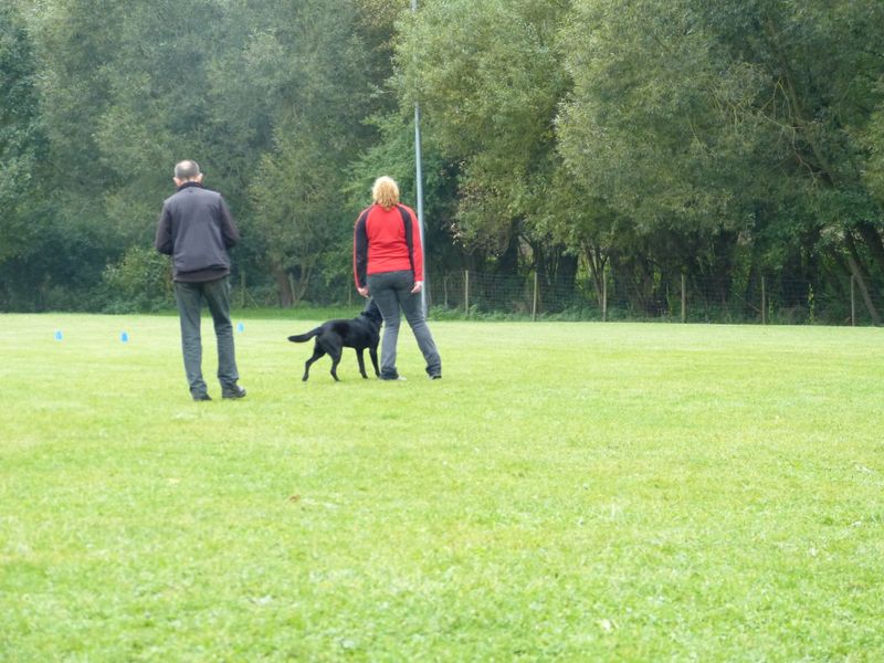 Obiprüfung 2016