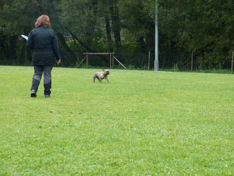 Obiprüfung 2016