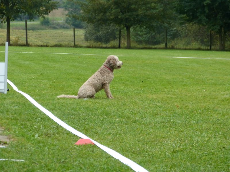 Obiprüfung 2016