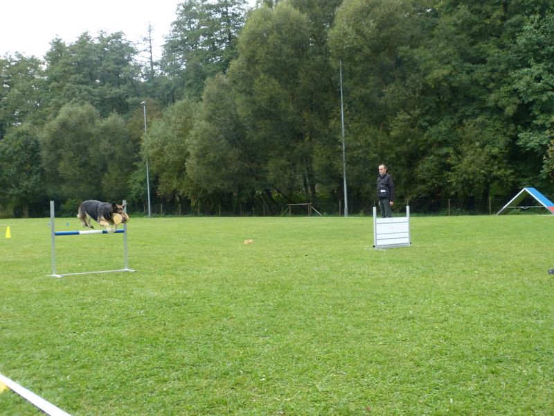 Obiprüfung 2016