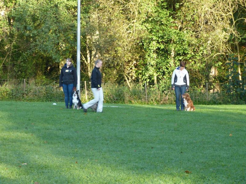 Obi-Prüfung Oktober 2017