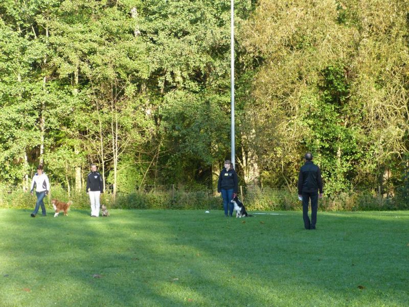 Obi-Prüfung Oktober 2017