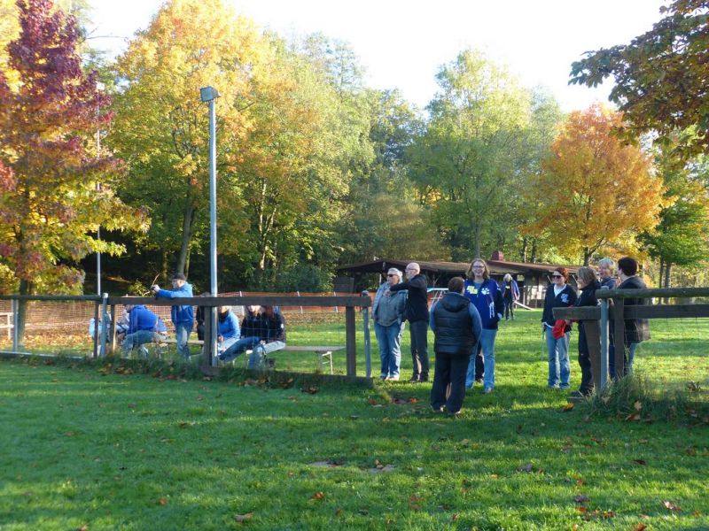 Obi-Prüfung Oktober 2017