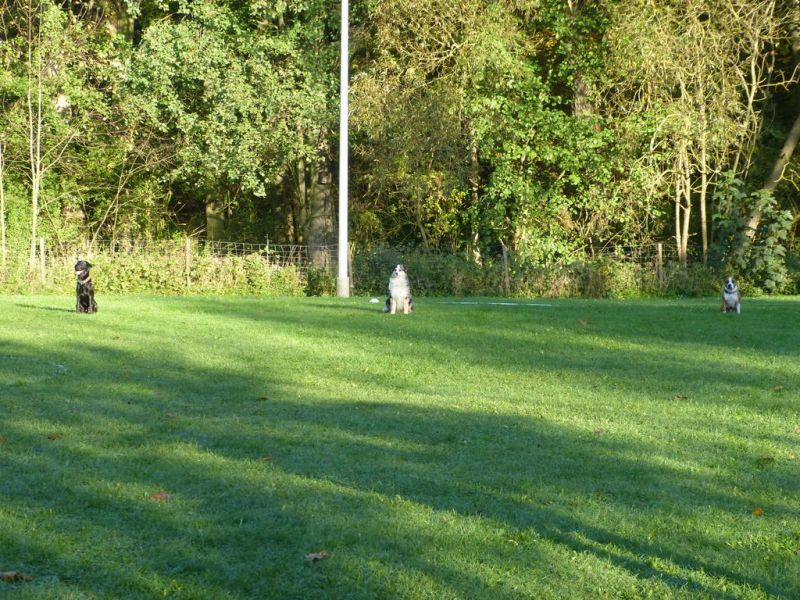 Obi-Prüfung Oktober 2017