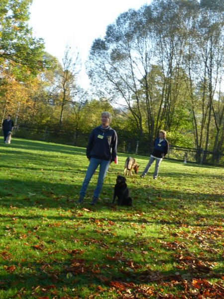 Obi-Prüfung Oktober 2017