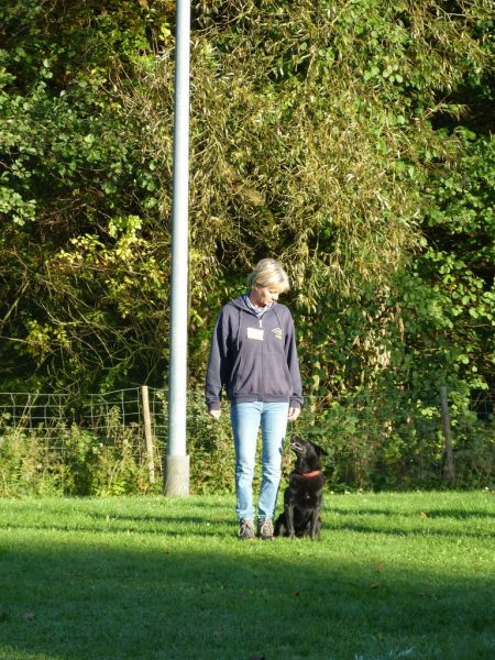 Obi-Prüfung Oktober 2017
