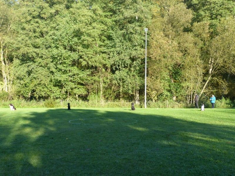 Obi-Prüfung Oktober 2017