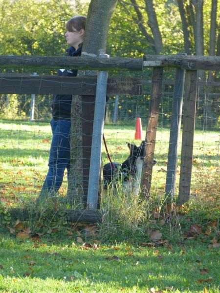 Obi-Prüfung Oktober 2017