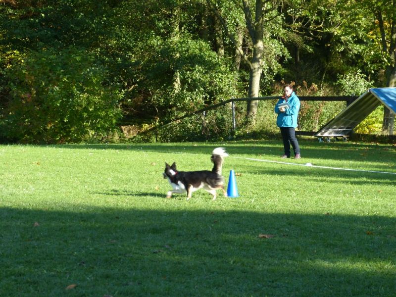 Obi-Prüfung Oktober 2017