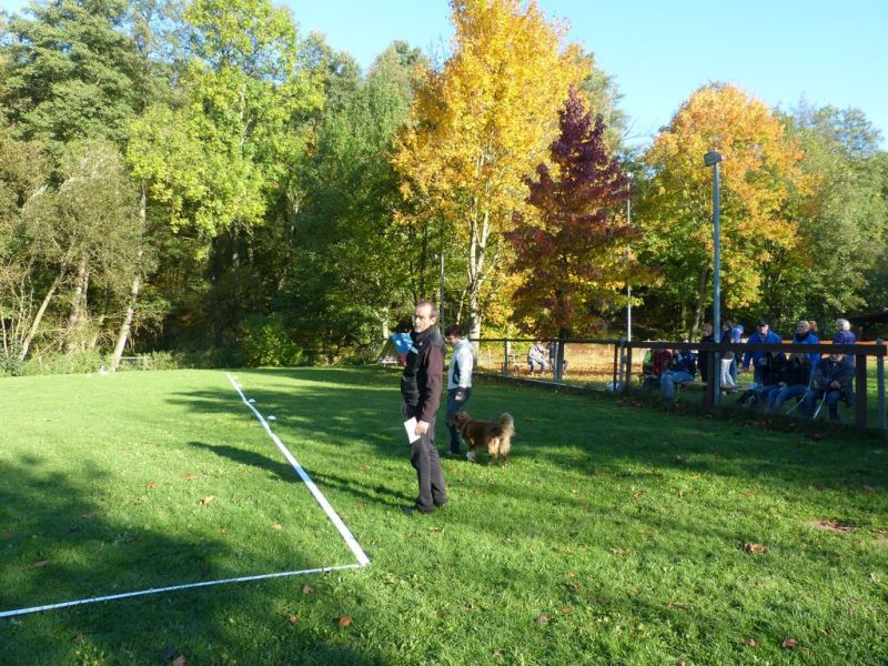 Obi-Prüfung Oktober 2017