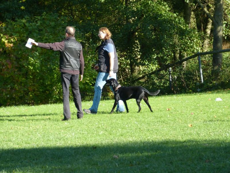 Obi-Prüfung Oktober 2017