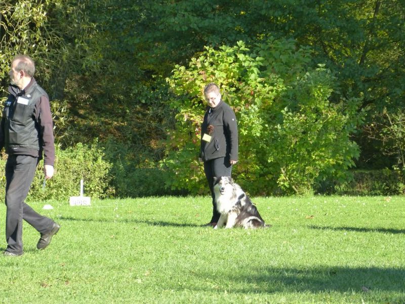 Obi-Prüfung Oktober 2017
