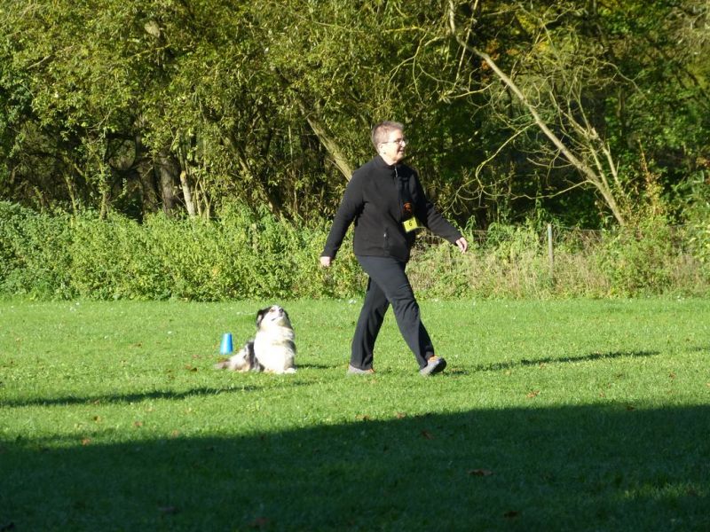 Obi-Prüfung Oktober 2017