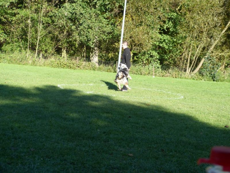 Obi-Prüfung Oktober 2017