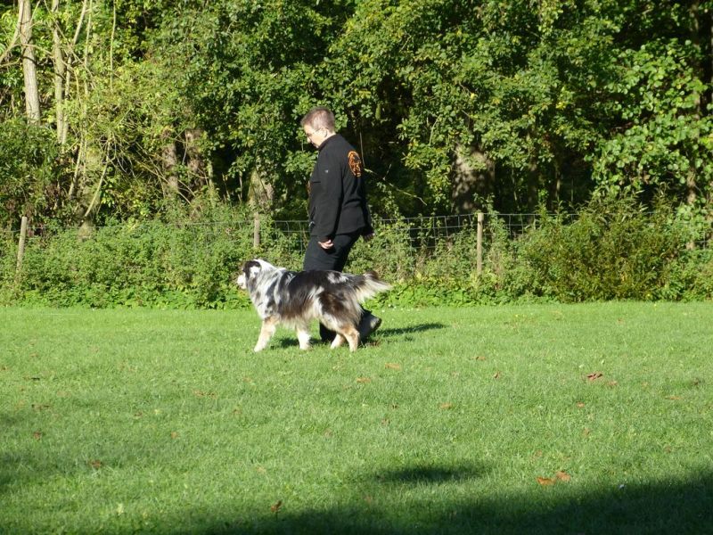 Obi-Prüfung Oktober 2017