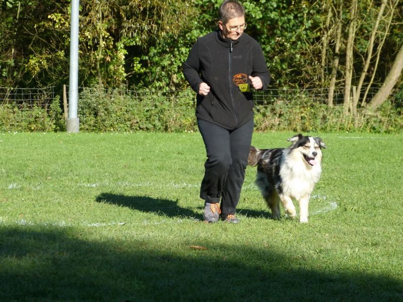 Obi-Prüfung Oktober 2017