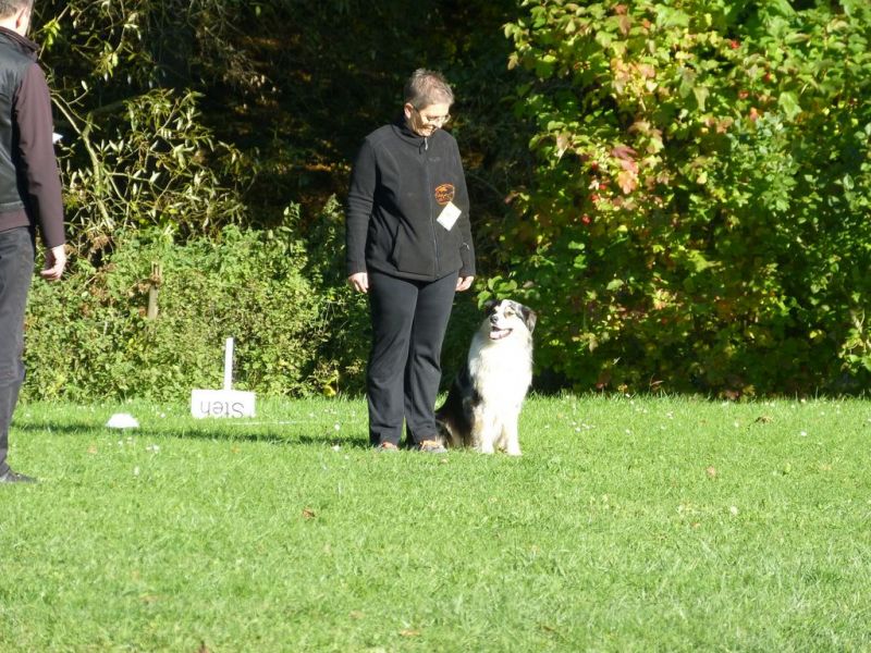Obi-Prüfung Oktober 2017