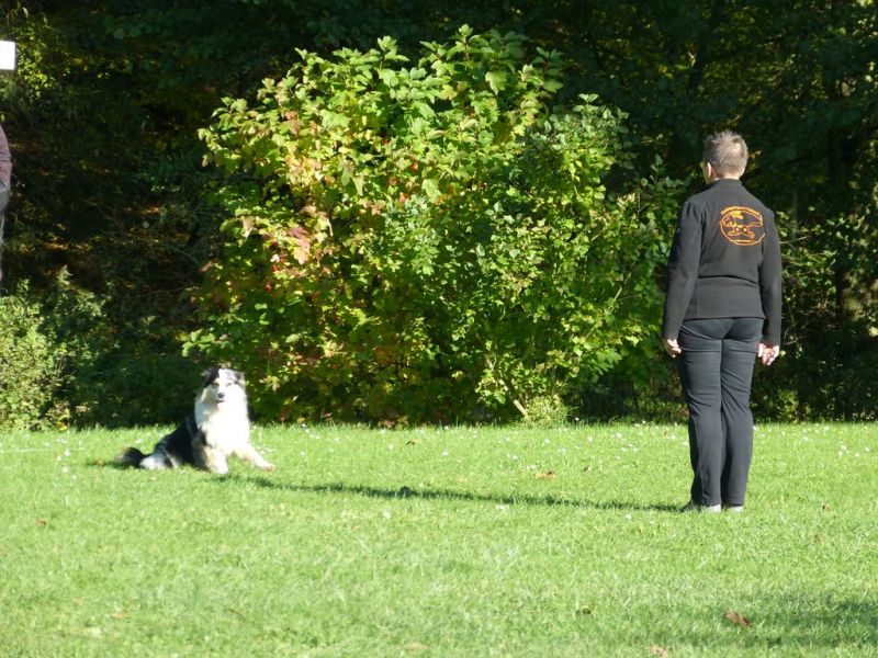 Obi-Prüfung Oktober 2017