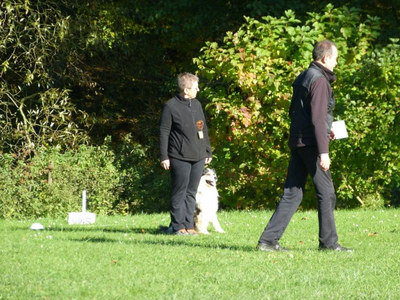 Obi-Prüfung Oktober 2017