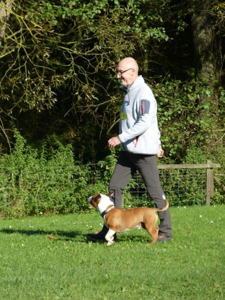 Obi-Prüfung Oktober 2017