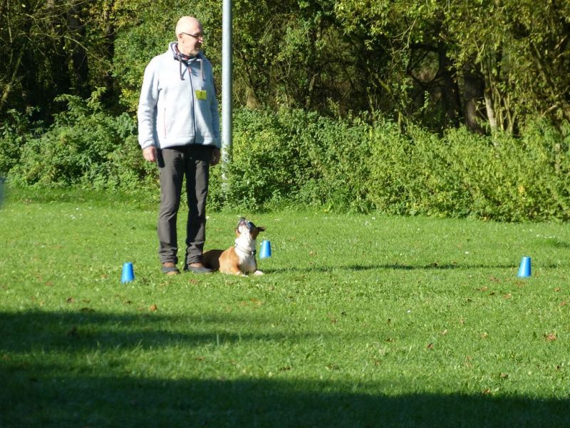 Obi-Prüfung Oktober 2017