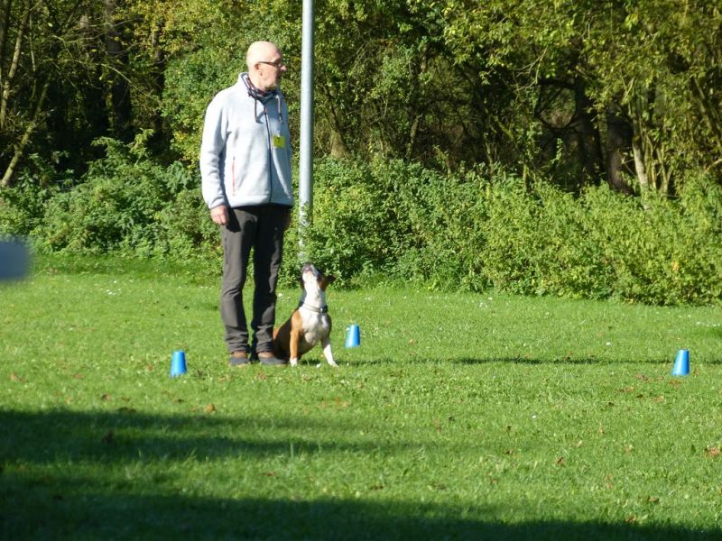 Obi-Prüfung Oktober 2017