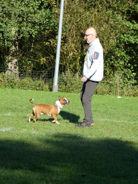 Obi-Prüfung Oktober 2017