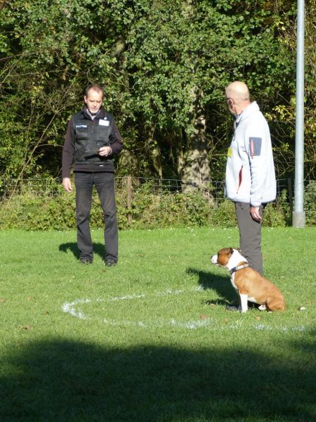 Obi-Prüfung Oktober 2017