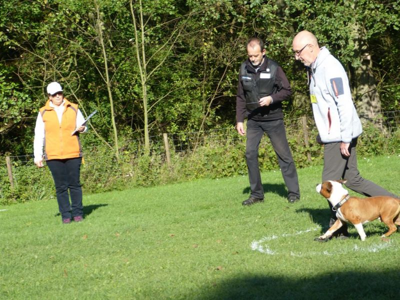 Obi-Prüfung Oktober 2017